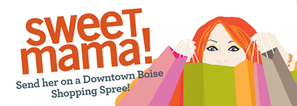 Downtown Boise Association&#8217;s Mother&#8217;s Day Purse Party