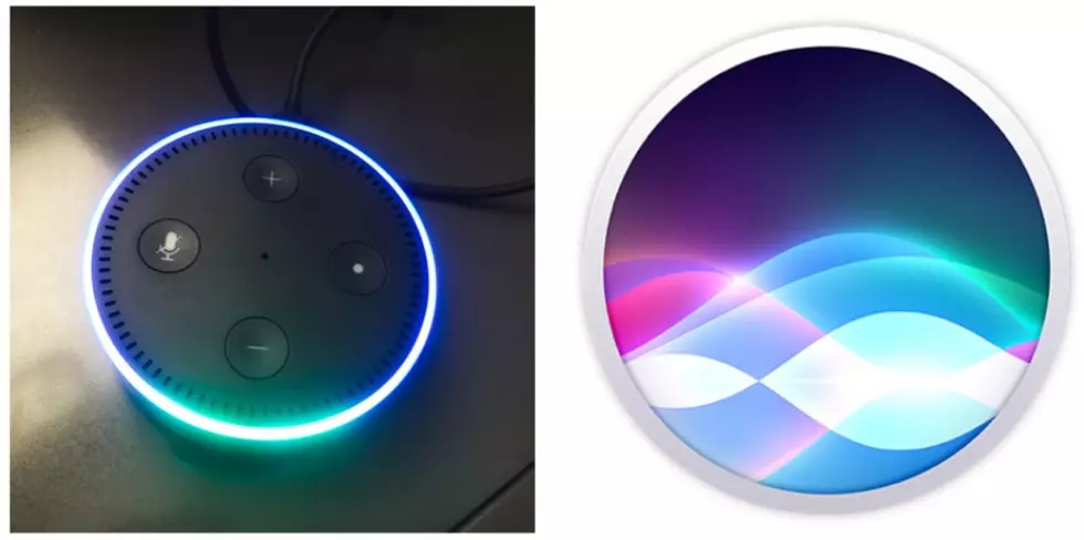 Alexa Vs. Siri, Who Knows More About Idaho?