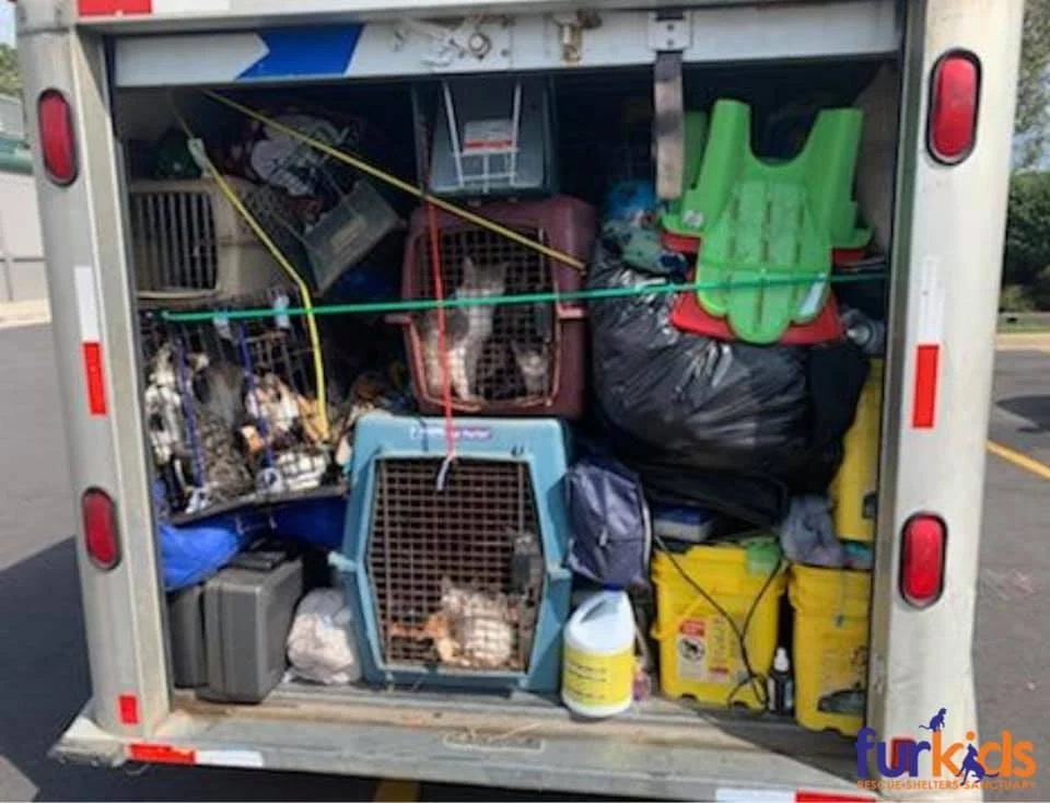 Cats in U-haul, FurKids Animal Shelter -  Photo by, Talley Davidson, Georgia