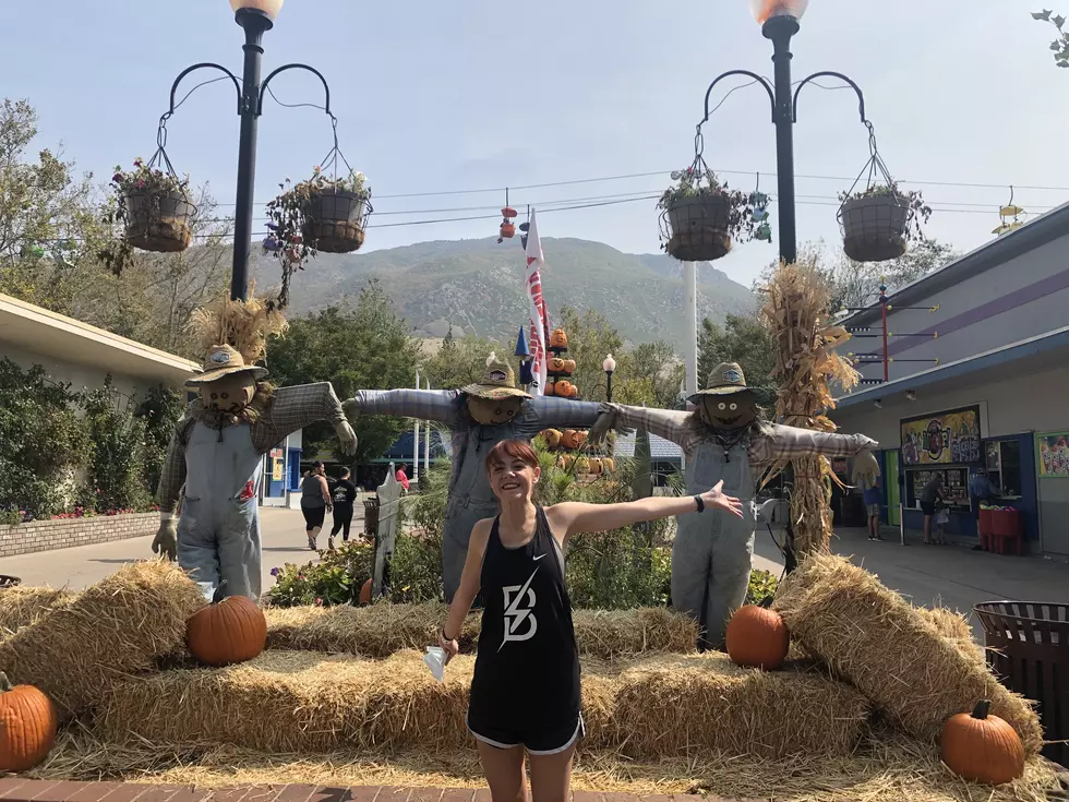 4 Things that Surprised Me Leaving Idaho for the First Time This Year