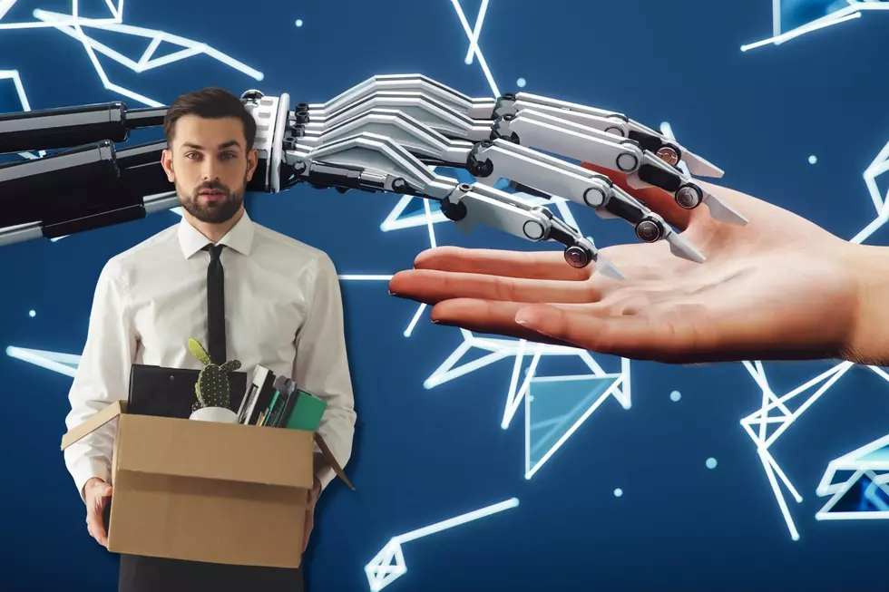 11 Idaho Jobs Most Likely to Be Replaced by Robots in the Future