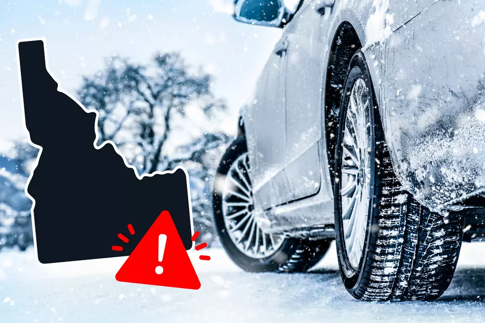 Idaho Warned to Remove These 7 Items from Cars in Freezing Temps